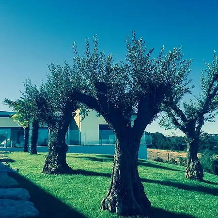 Cecile's Casal do Pardo